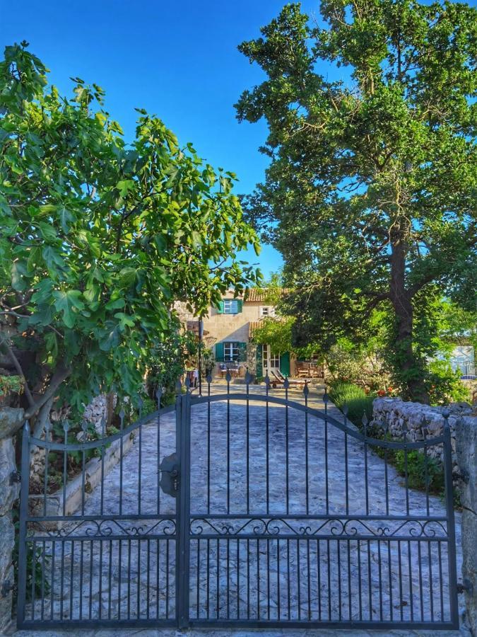 Villa Dvori Dida Mile Sveti Petar  Exterior foto