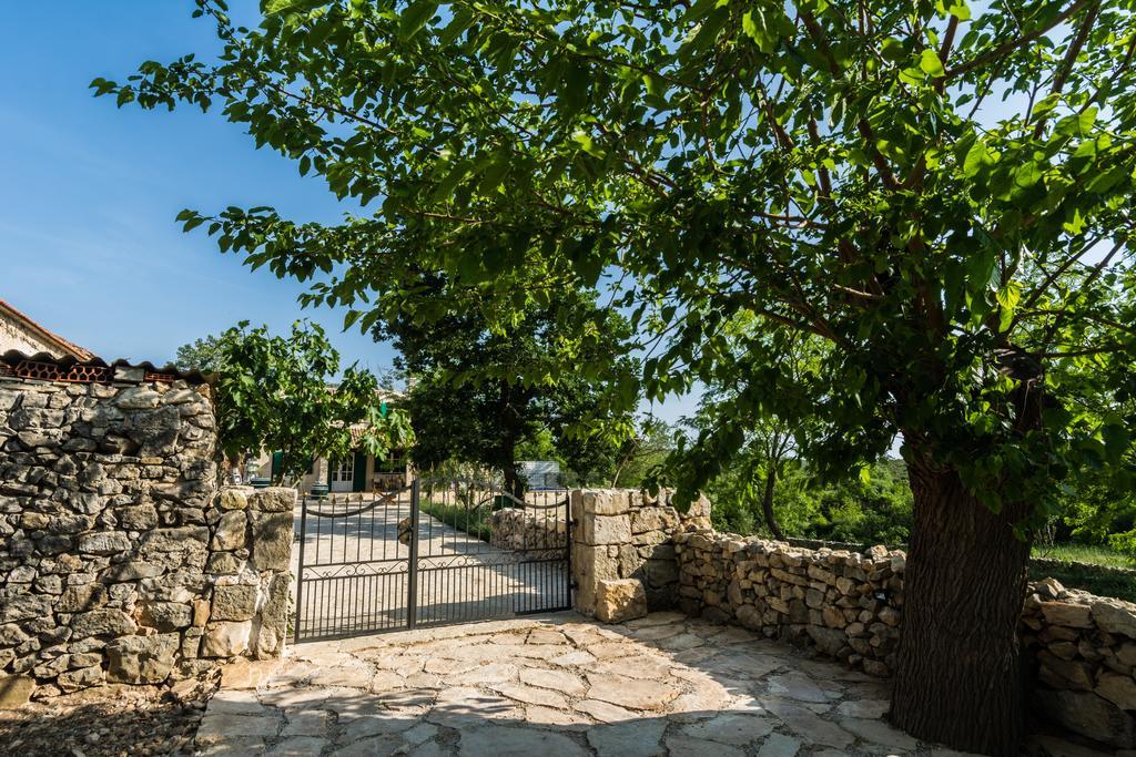Villa Dvori Dida Mile Sveti Petar  Habitación foto